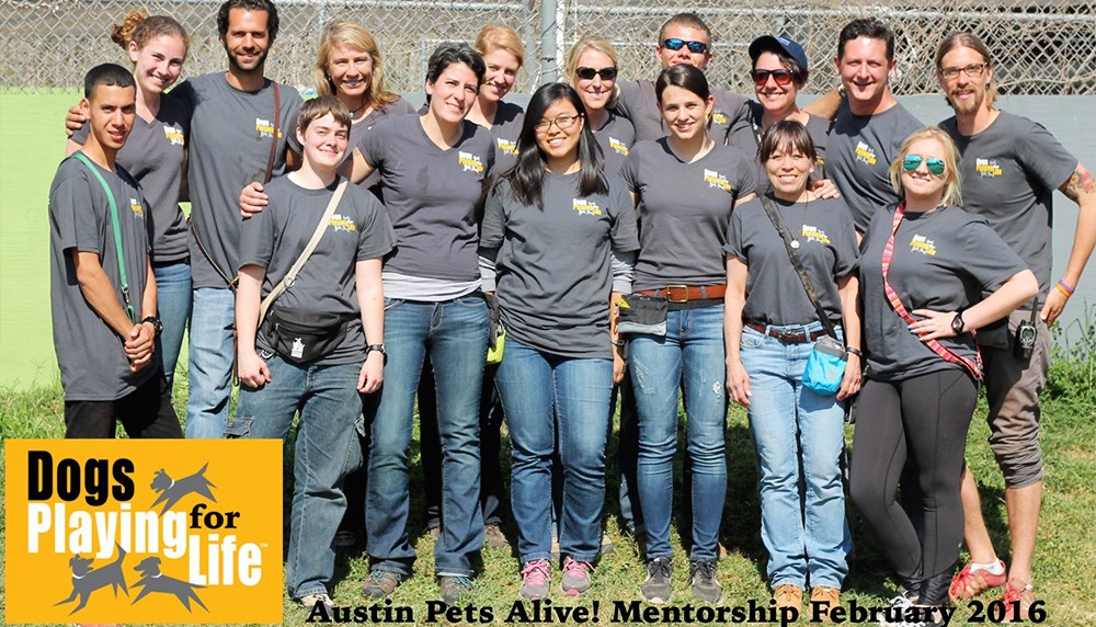 Austin Pets Alive Mentorship 2016