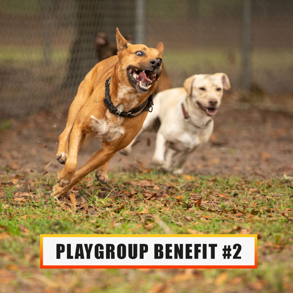 Playgroup benefit 2