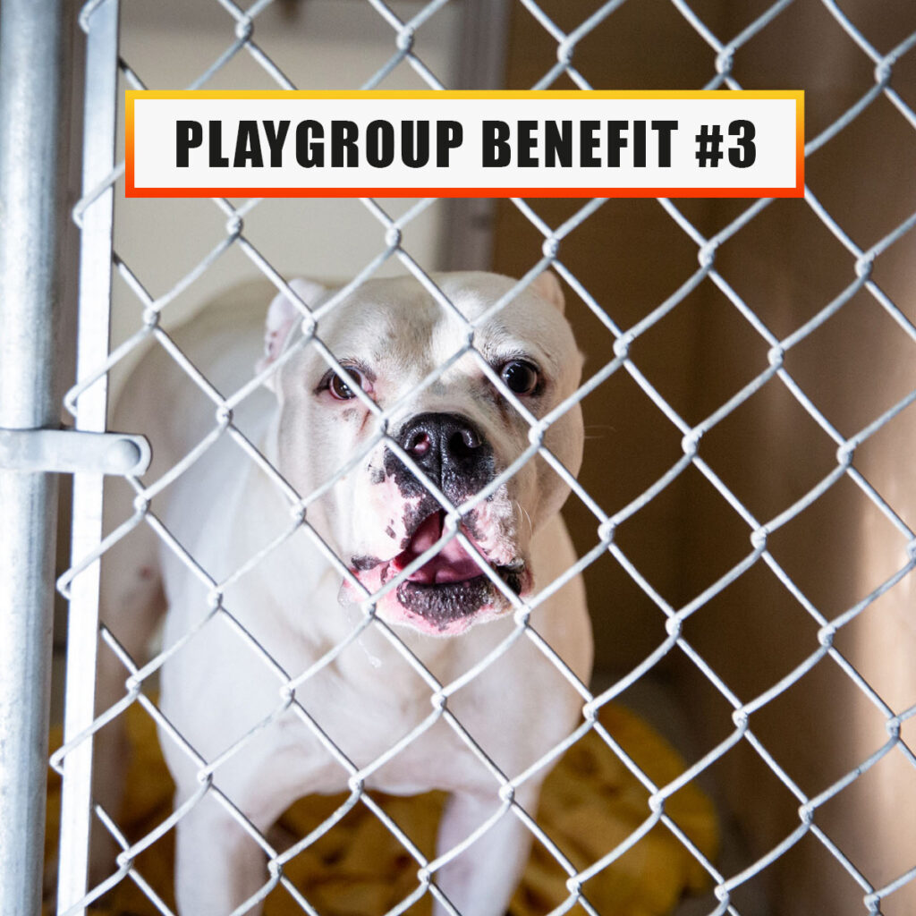 Playgroup benefit 3