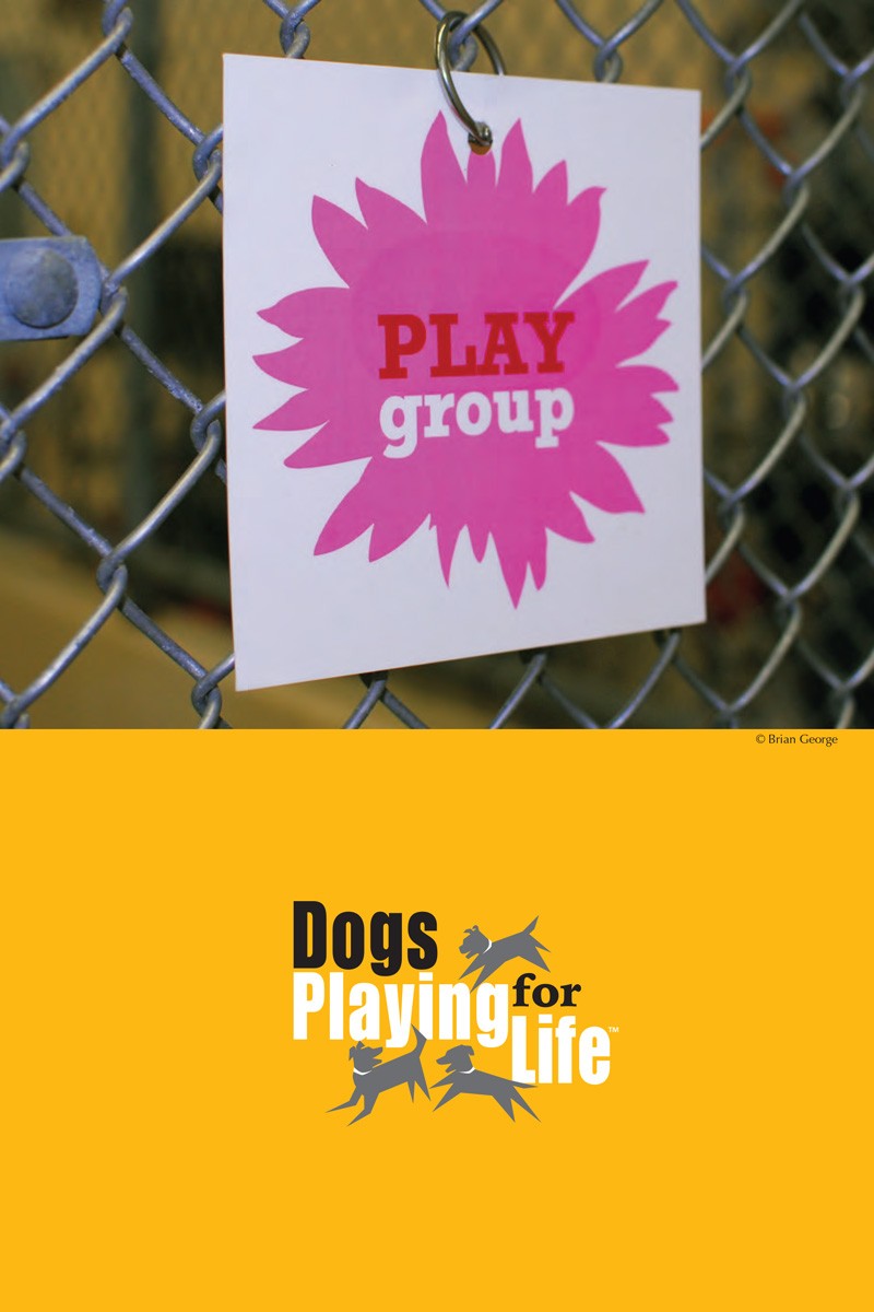 Dogs Playing for Life Resource Manual p3