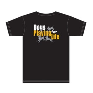 Playgroup Rockstar T-shirt Back