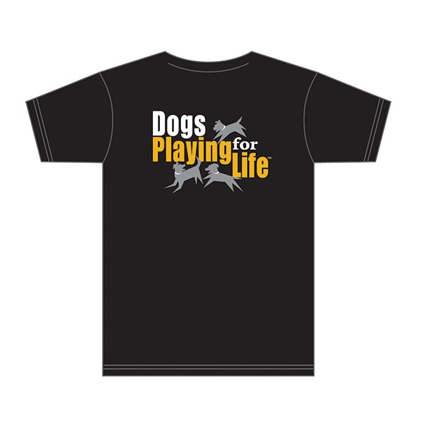 Playgroup Rockstar T-shirt Back