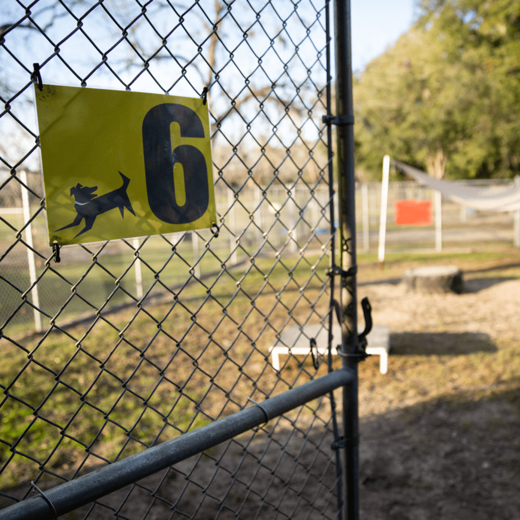 ccf-gate-no-6-sq