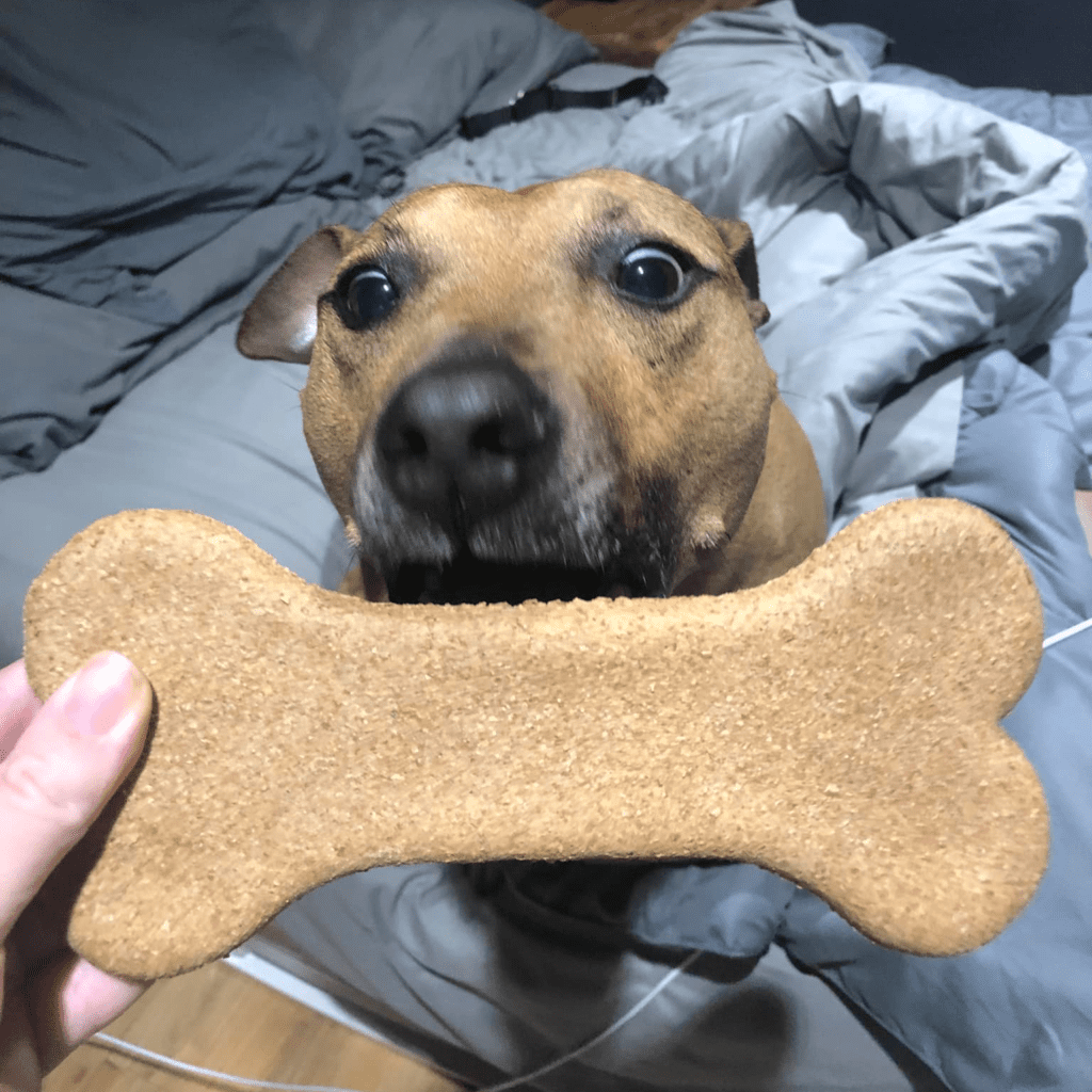dog-huge-milkbone-sq