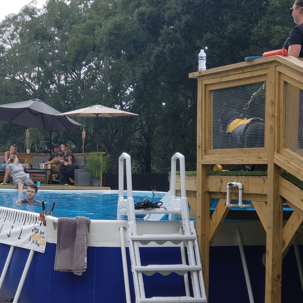 swimming-pool-dogs-people-sq
